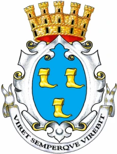 Stemma Calci
