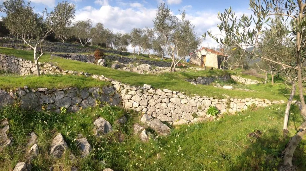 Ecomuseo dell'Alabastro - Punto Museale Centrale