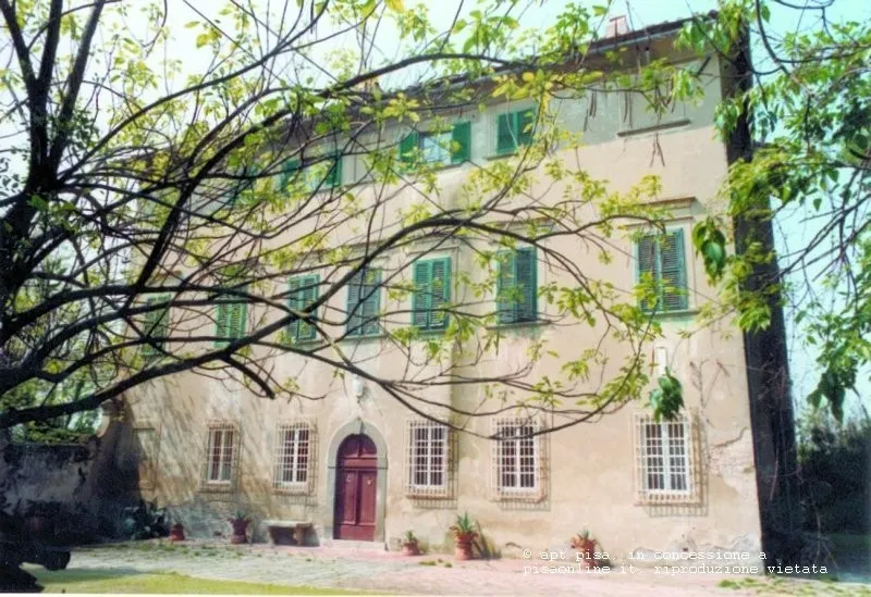 Pontedera