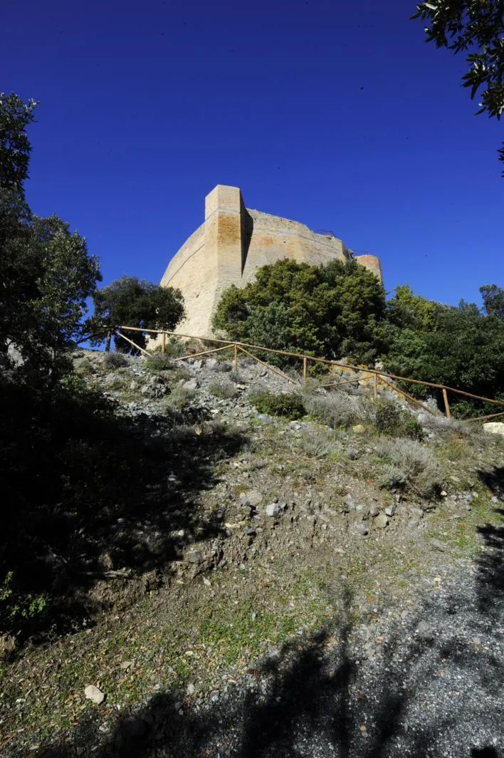 Azienda Agricola Buon Riposo
